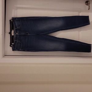 Torrid SkinnyJeans  Size 14T